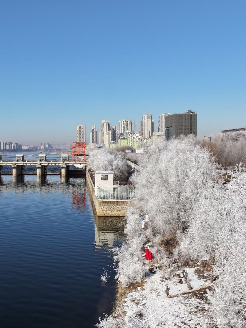 吉林绿色崛起,转型发展新征程