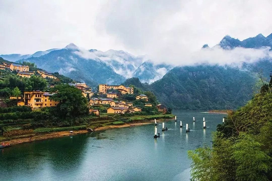 浙江,诗意盎然的江南画卷🌸🏞️